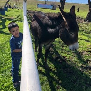 Meet your Posher, Noel